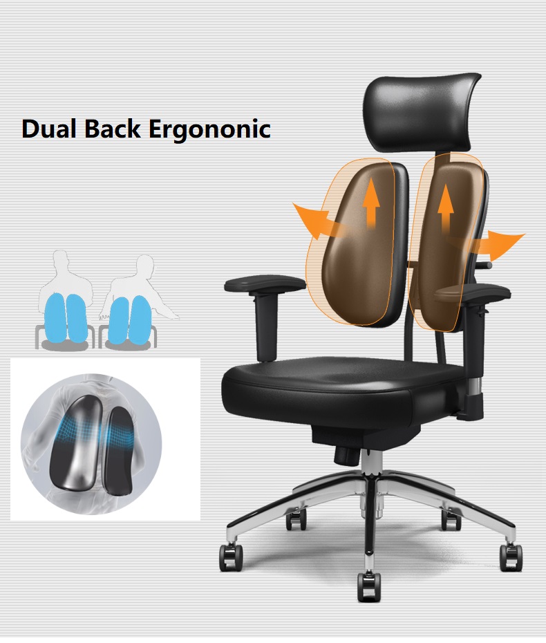 Dual Back Ergonomic Office Chair Function