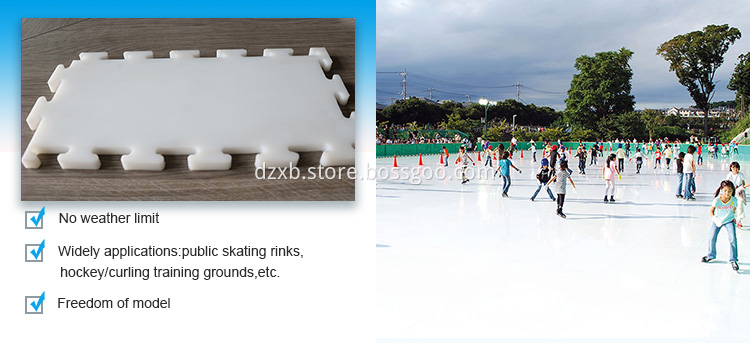 Synthetic Ice Rink Panel Synthetic Ice Rink Panel