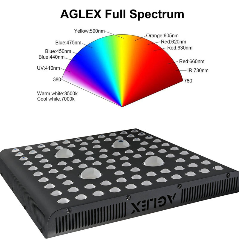 2000w grow light full spectrum