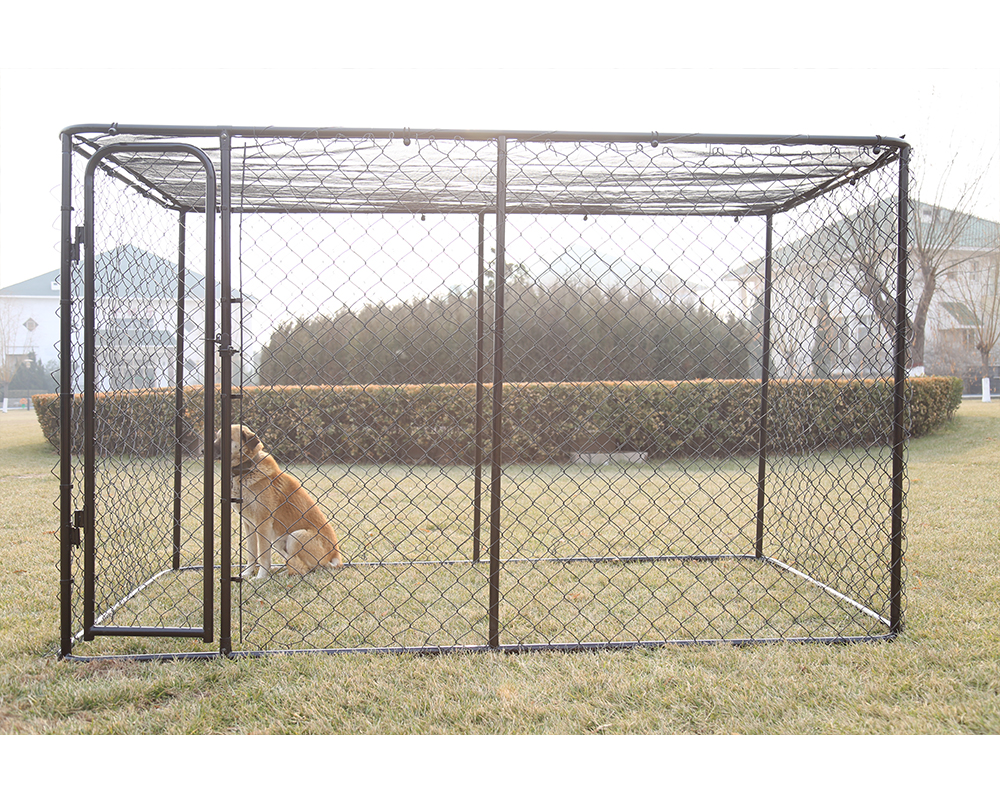 Chain Link Dog Kennel Chain Link Dog Kennel