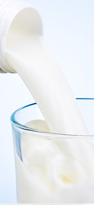 Milch milk
