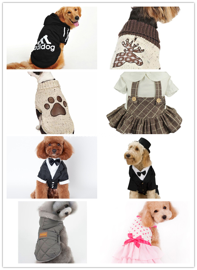 pet clothes 