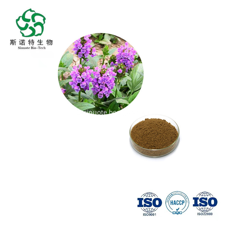 Selfheal Fruit Spike Extract Selfheal Fruit Spike Extract