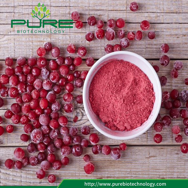 Naturlig Tranbärsjuice Juice Powder1 Natural Cranberry Extract Juice Powder1