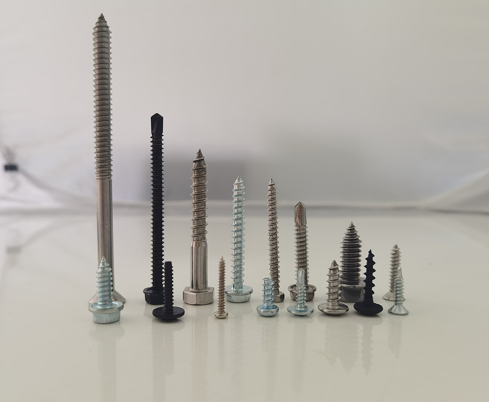 Self Tapping Screw 1