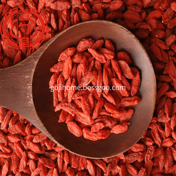 Rote Goij Beeren Dörrobst Red Goij Berries Dried Fruit