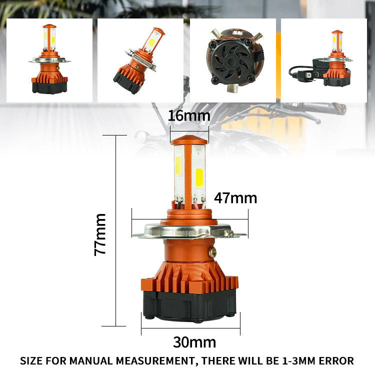 Main-05 Main-05