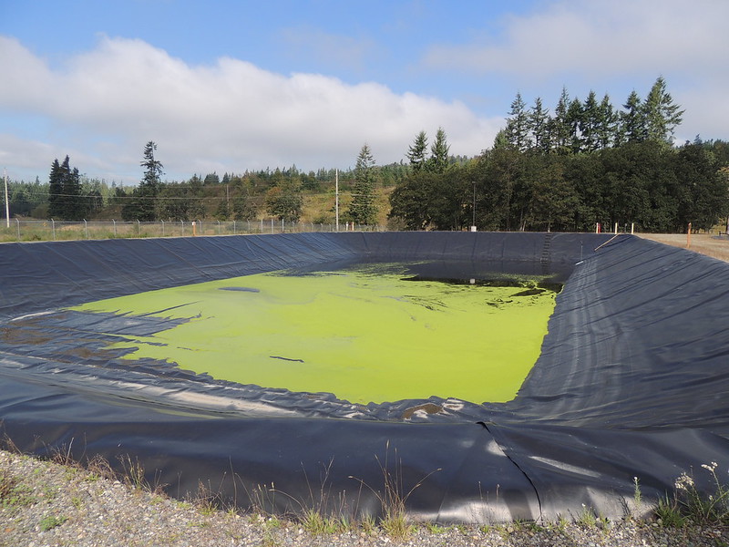 geomembrane