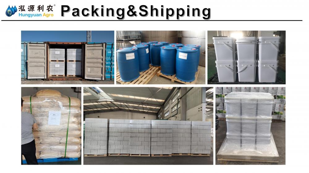 Ending Picture 03 Ending Picture 03