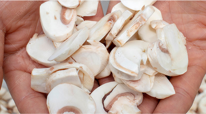 automatic commercial mushroom slicer automatic commercial mushroom slicer