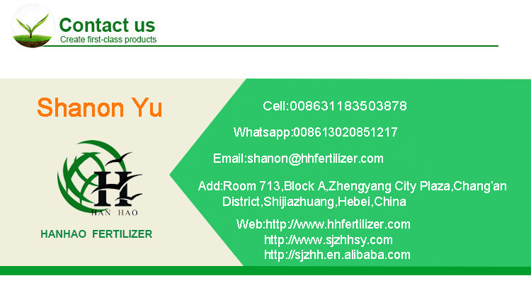 contact information contact information
