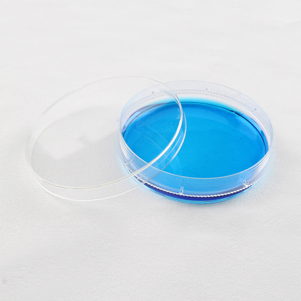 Plastic Culture Cell Bacteria Petri Dish