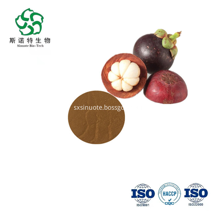 Mangosteen Juice Powder Mangosteen Juice Powder