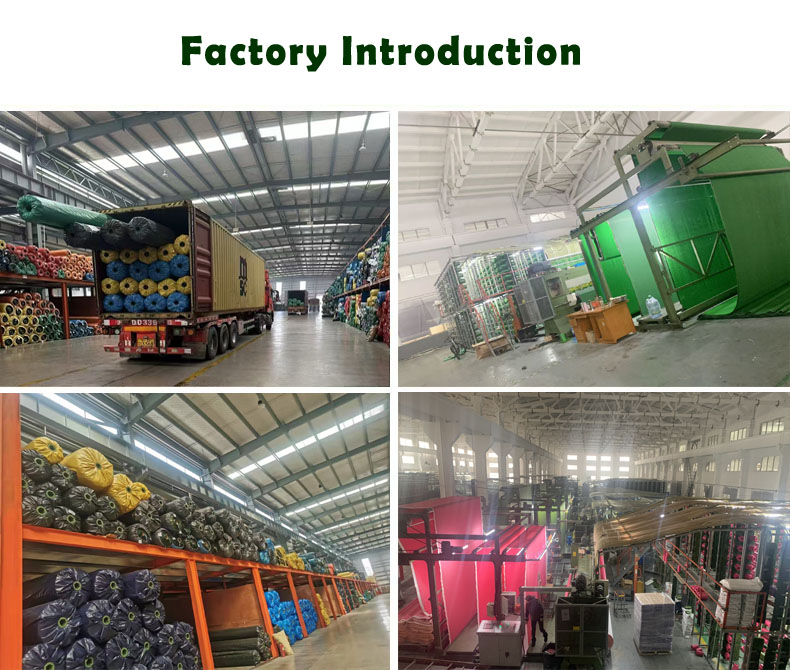 default name default name