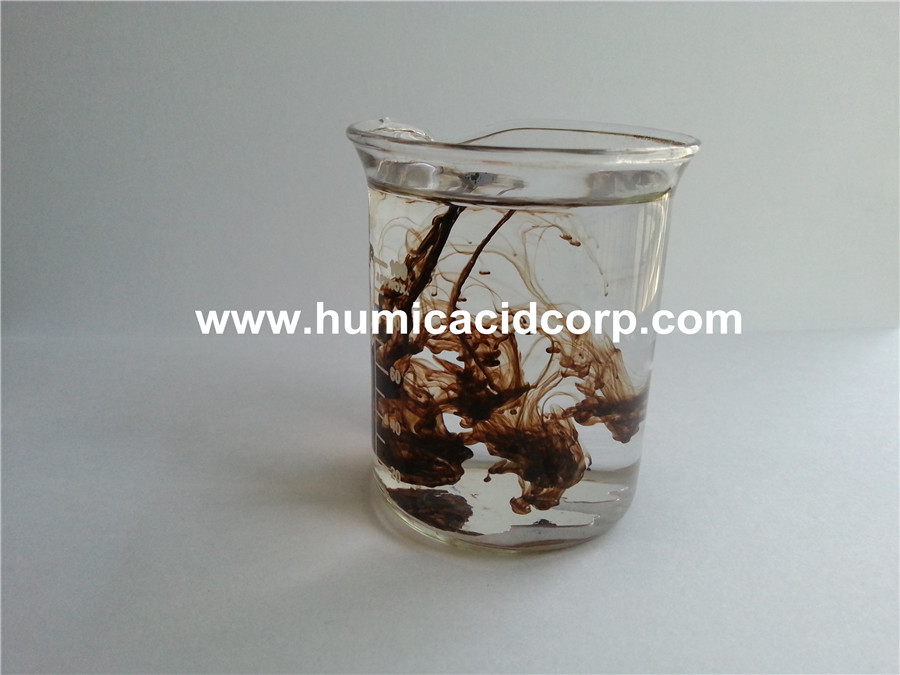 Natural Mineral Fertilizer Humic Acid