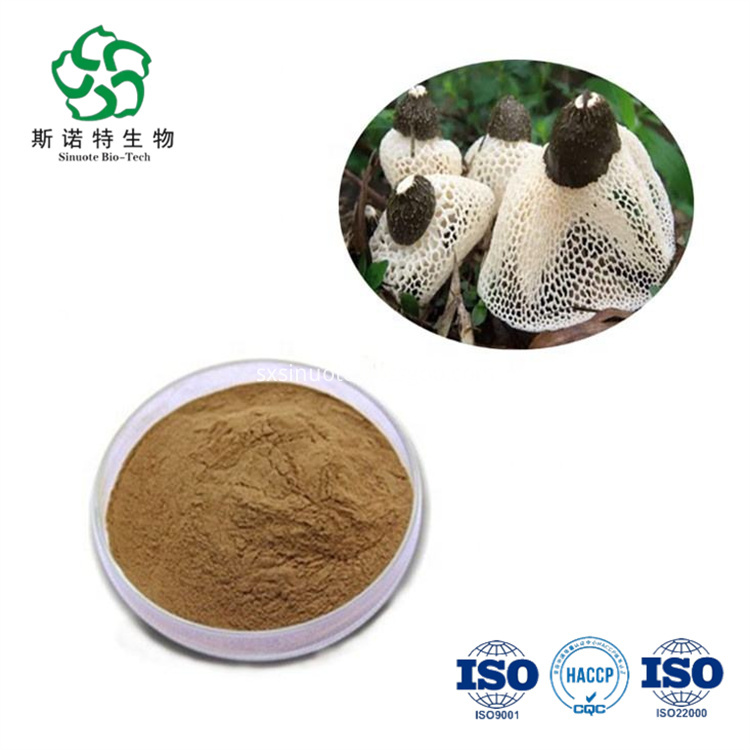 Bamboo Fungus Extract Bamboo Fungus Extract