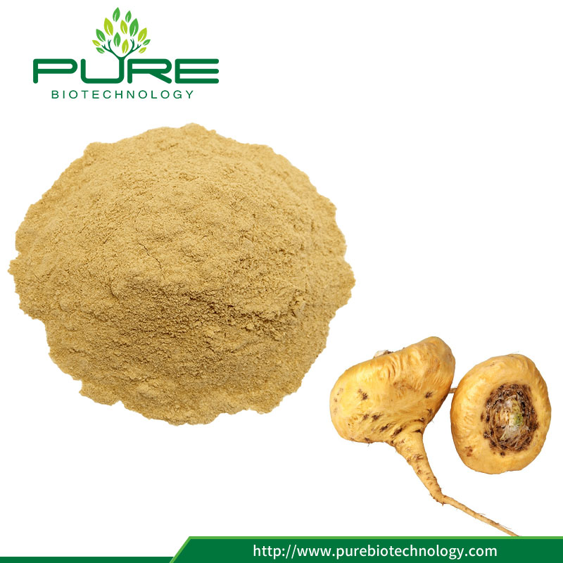 Maca Root Powder Extract ผลิตภัณฑ์เสริมอาหารที่ดีที่สุดสำหรับผู้ชาย Maca Root Powder Extract Best Supplements For Men