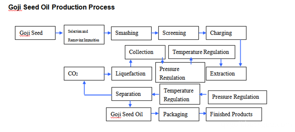 عملية برودكتيون من زيت بذور غوجي Prodtction Process Of Goji Seed Oil