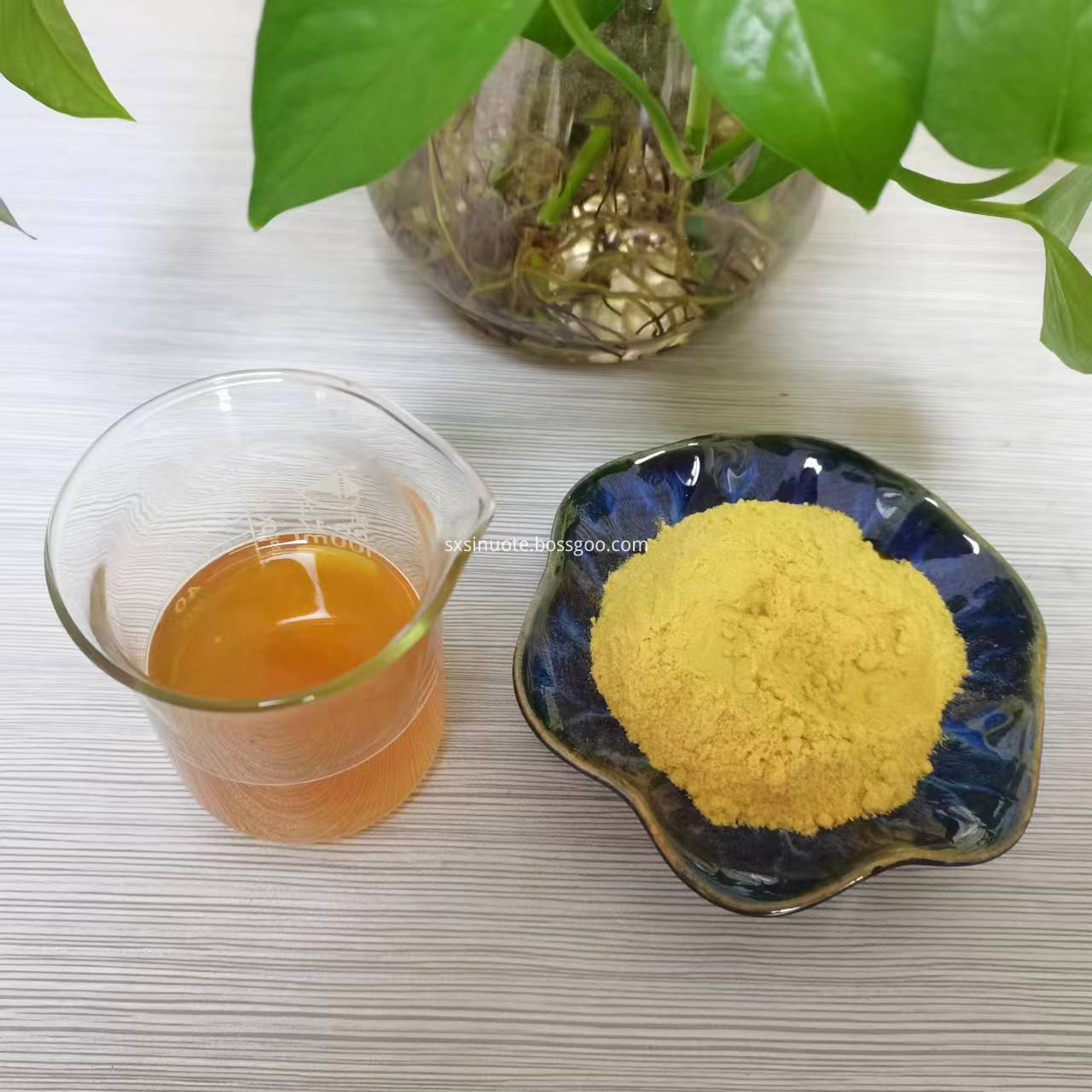 Sea buckthorn powder Sea buckthorn powder