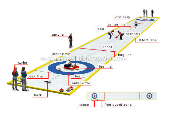 Land Curling Sheet Land Curling Sheet