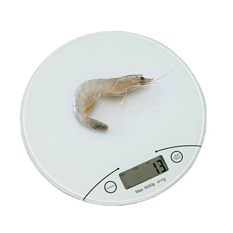 kitchen electronic scale kitchen electronic scale