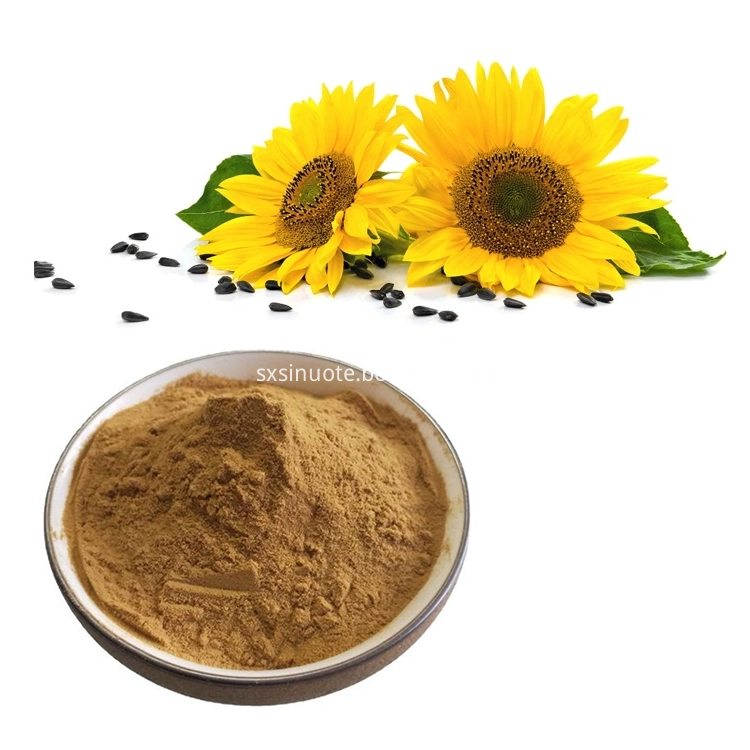 Sunflower Seeds Extract Sunflower Seeds Extract