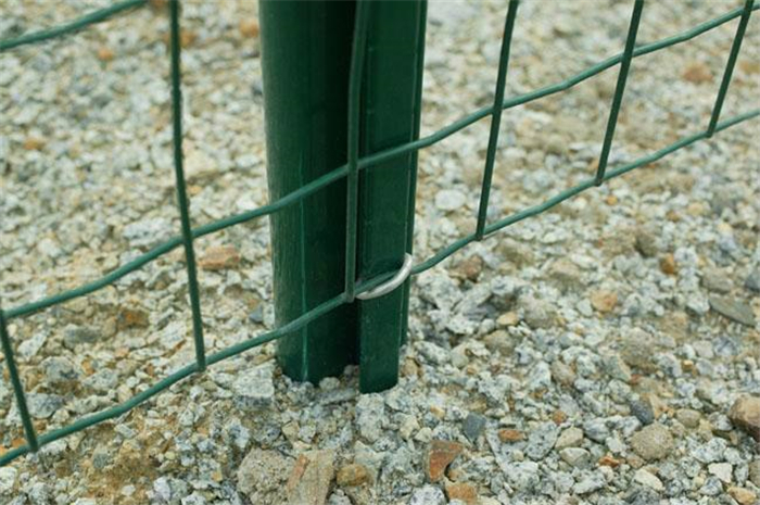 Wire Mesh Fence