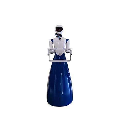 Humanoid Waiter Robot Intelligent