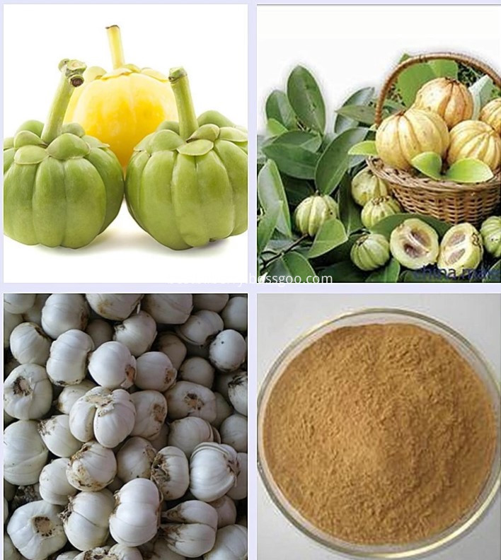 garcinia cambogia powder 2 garcinia cambogia powder 2