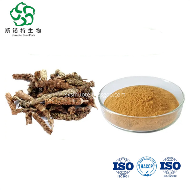 Brunellae Spica Extract Brunellae Spica Extract