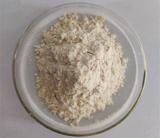 Pectinase enzyme Pectinase enzyme