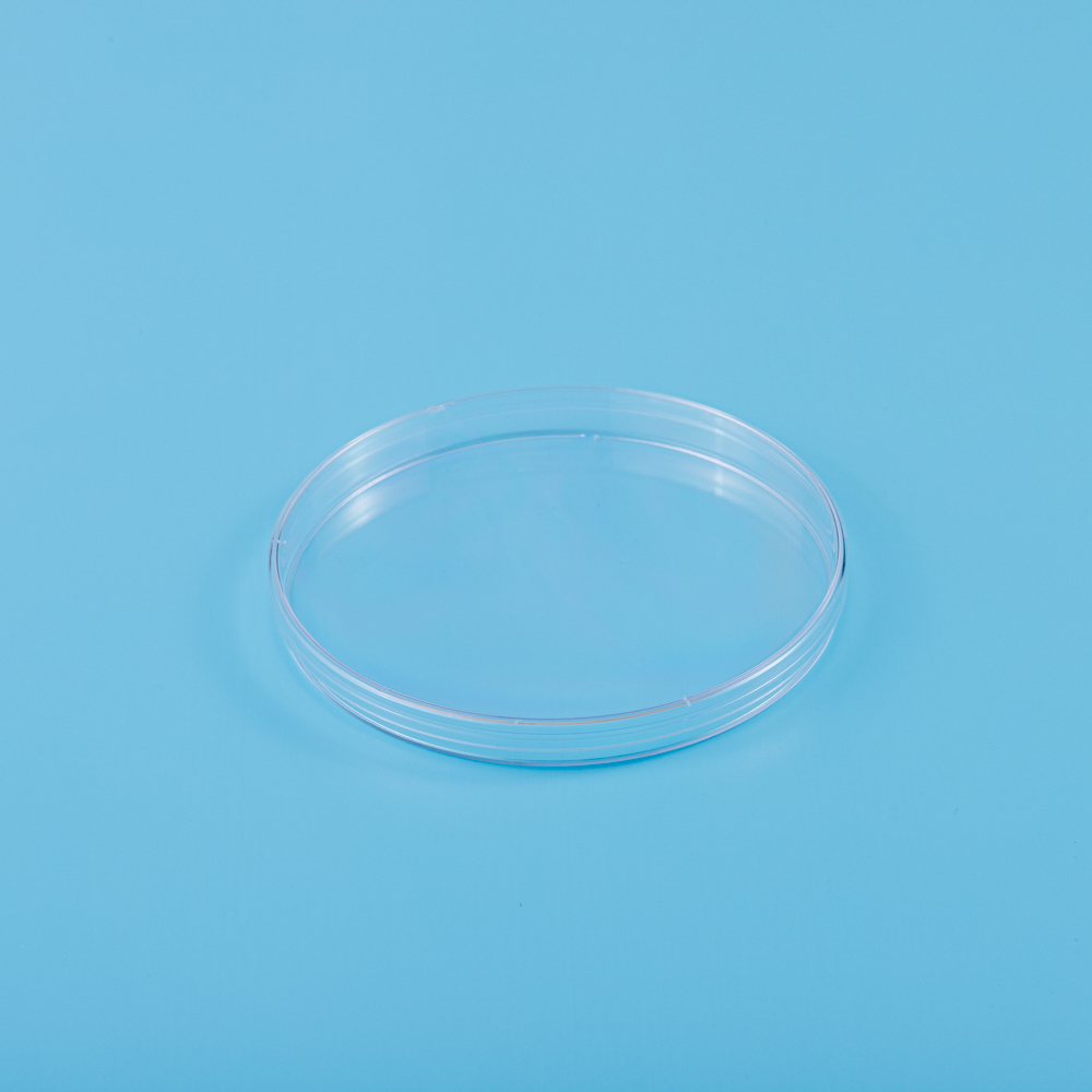 150mm Petri Dish