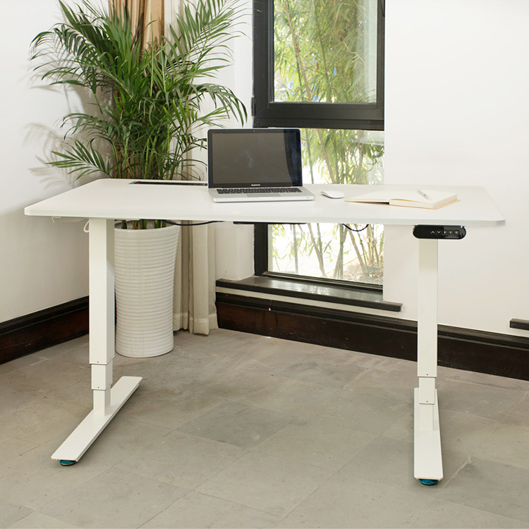 Electric Standing Desk Ud2 7