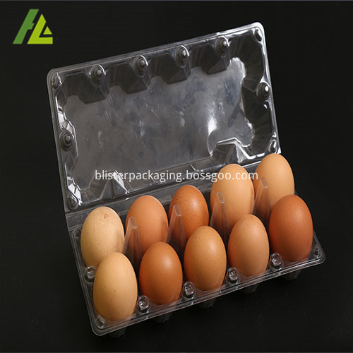 clear egg tray 