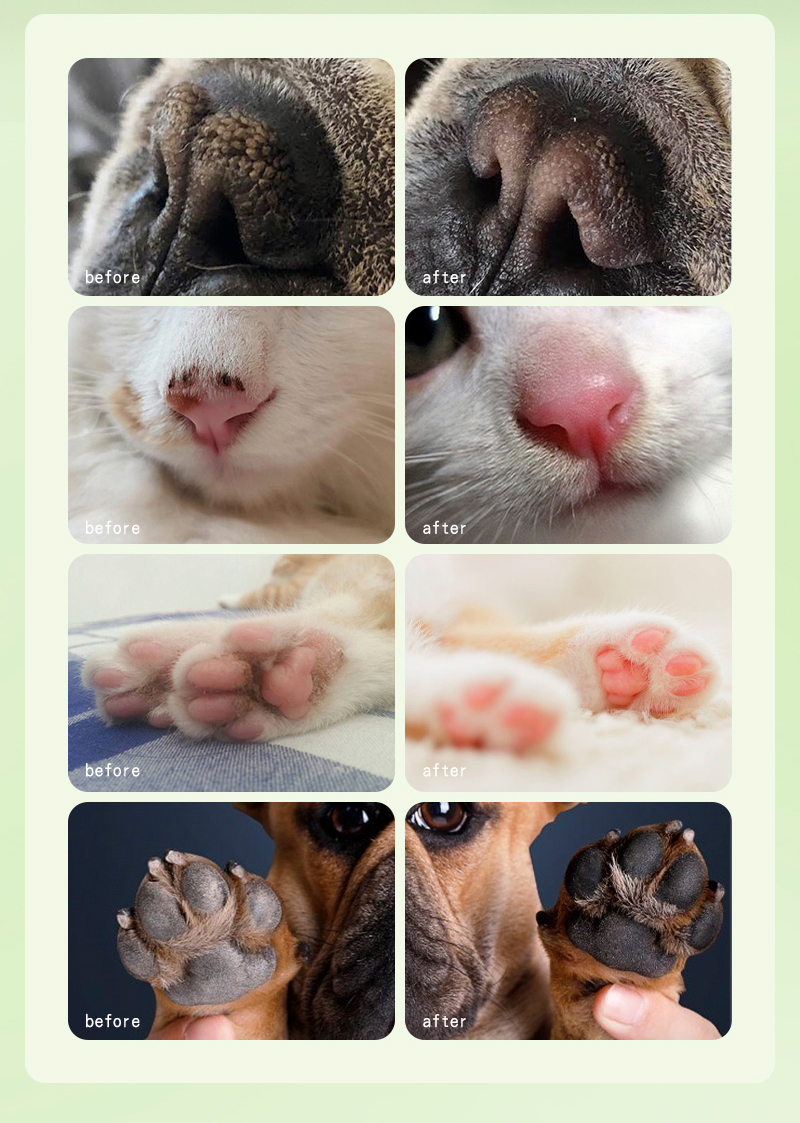 Pet Nourishing Nose And Paw Stick 05 Pet Nourishing Nose And Paw Stick 05
