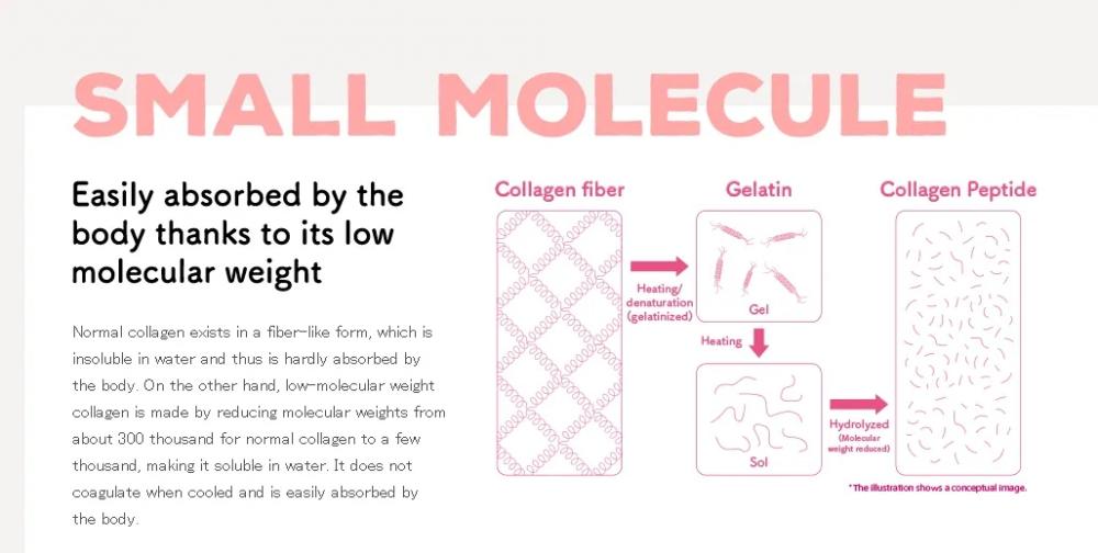Collagen Introduce 3 Collagen Introduce 3