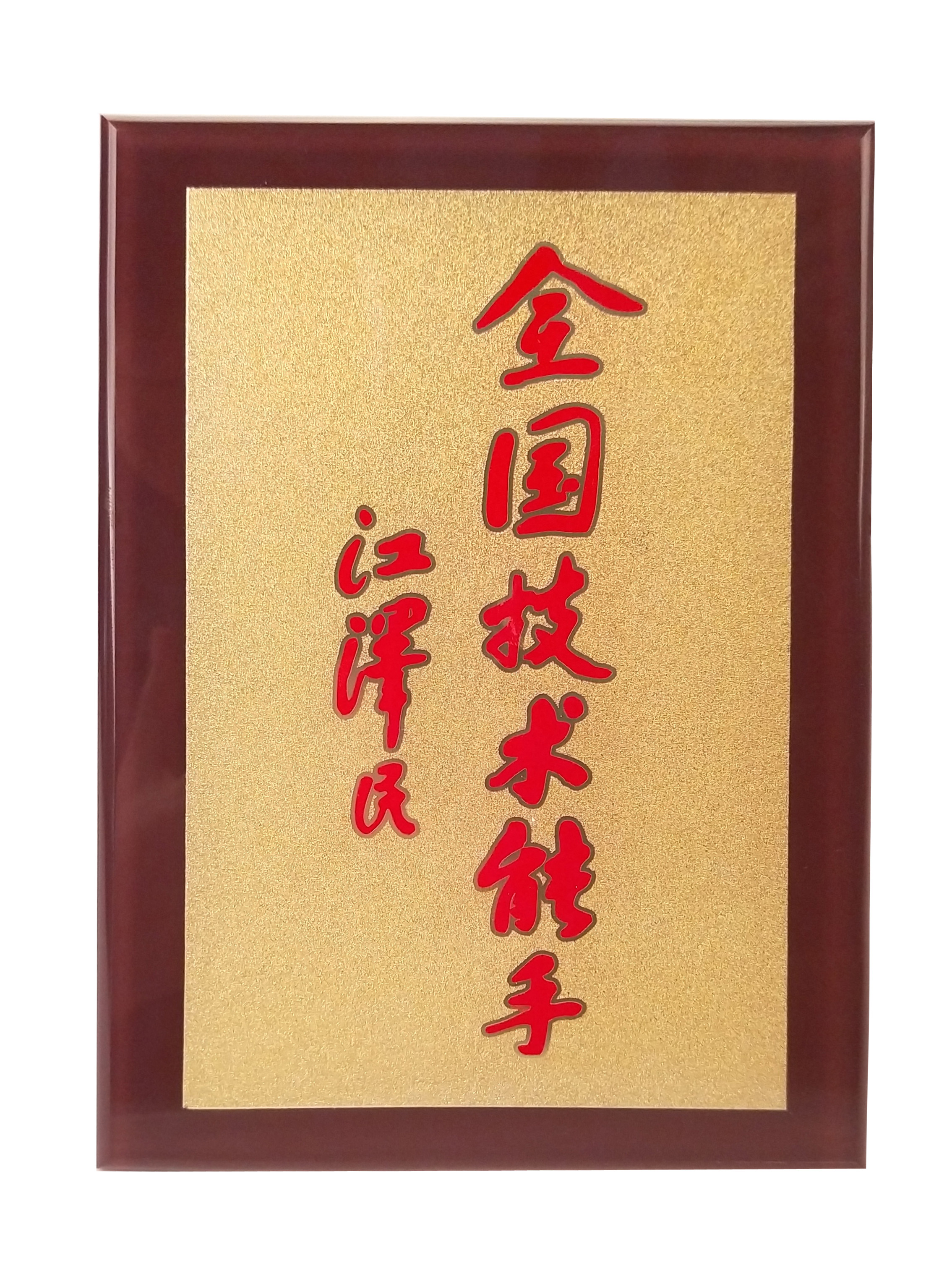 National Technical Expert National Technical Expert