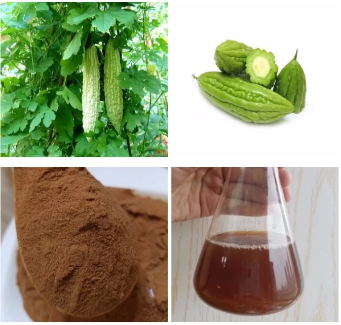 bitter melon extract 2 bitter melon extract 2
