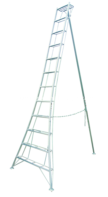 Welding ladder