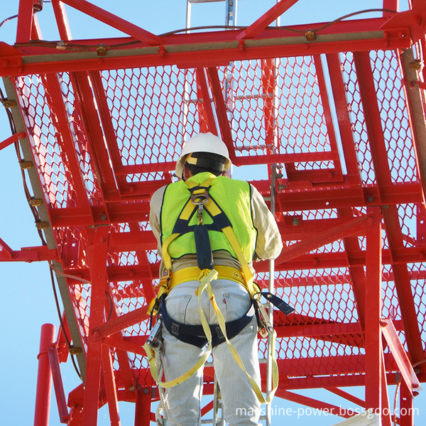 ts-series-rtr-tower-safety-climb