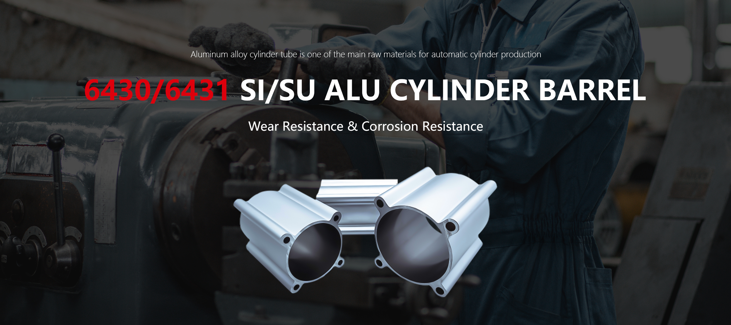 Sisu Banner