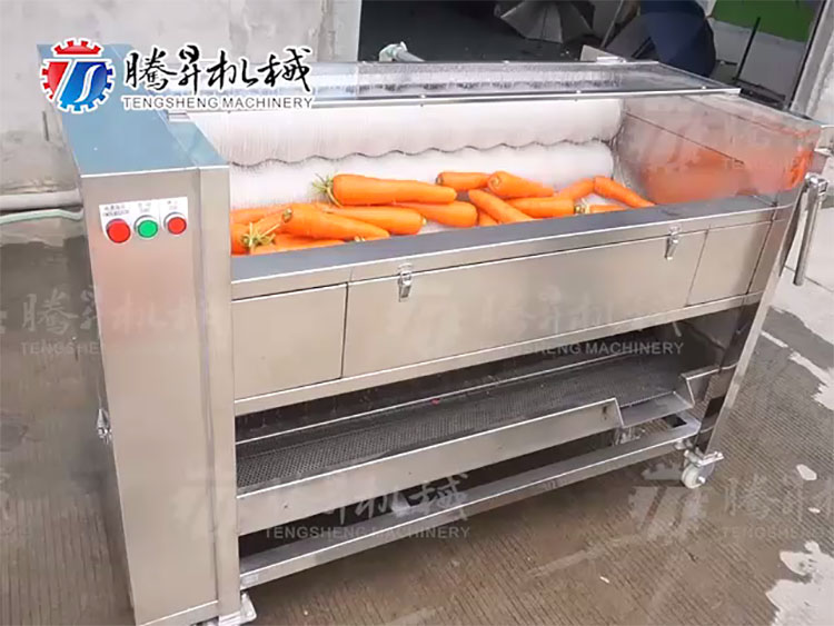 carrot washing machine carrot washing machine