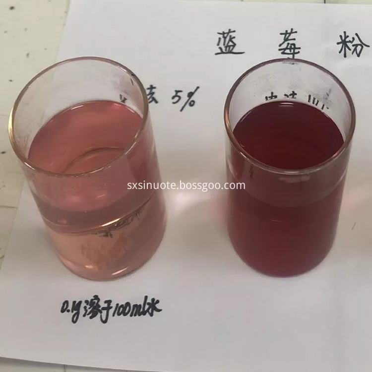 Blueberry Extract Blueberry Extract