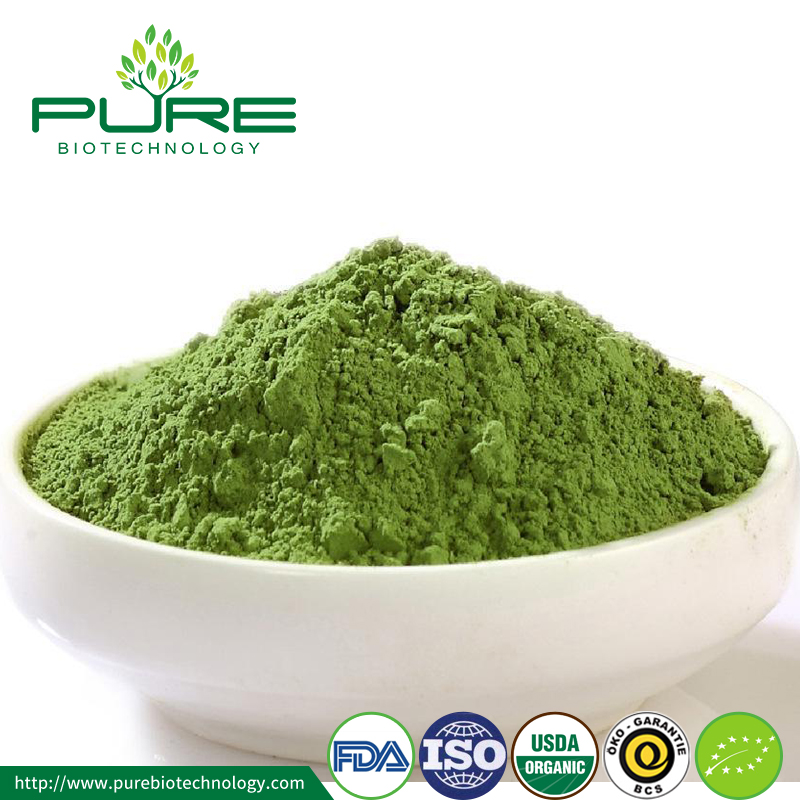 ผงชาเขียว Matcha ราคาถูก Low Price Matcha Green Tea Powder