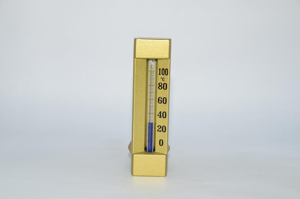 Marine Thermometer10