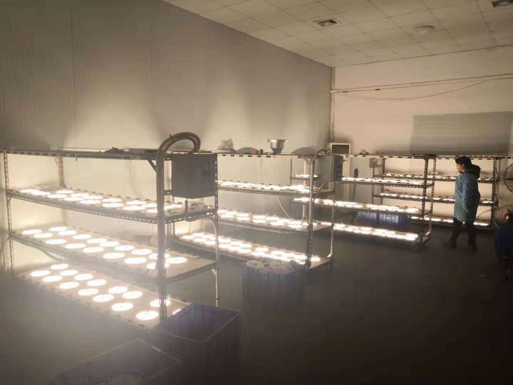 Yupdeng Lighting Company Yupdeng Lighting Company