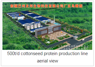 Dây chuyền sản xuất đạm hạt bông Cottonseed Protein Production Line