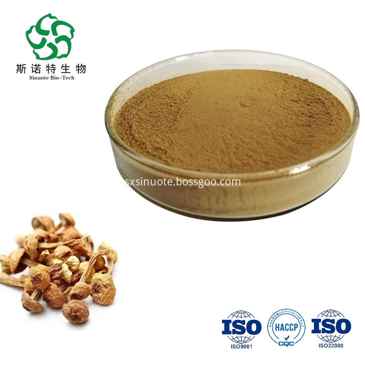 Agaricus Blazei Extract Agaricus Blazei Extract