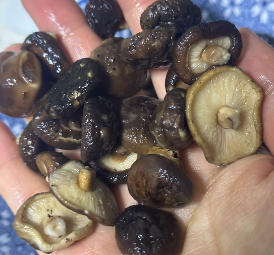 Small Shiitake Mushrooms1 Small Shiitake Mushrooms1