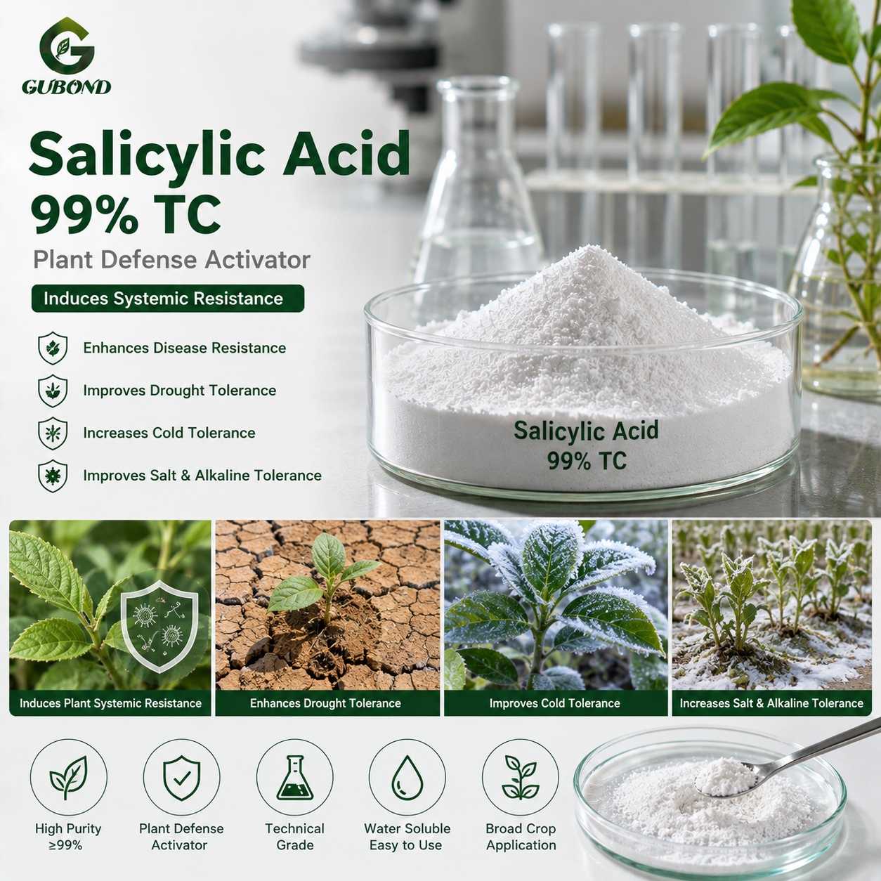 Salicylic Acid 99% TC Salicylic Acid 99% TC